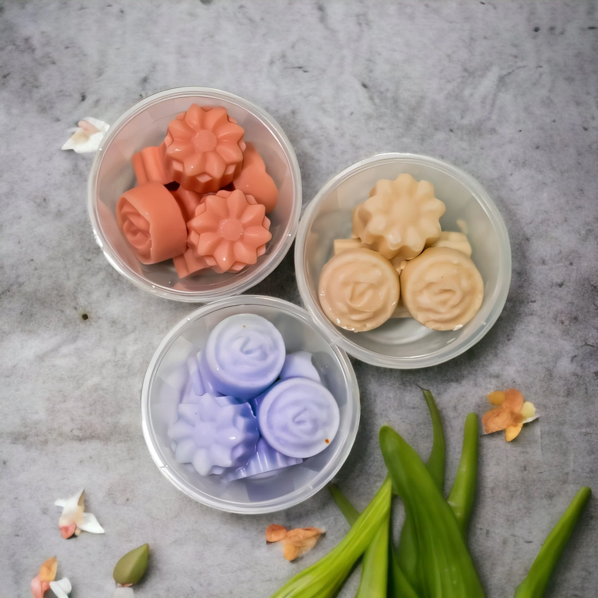 Core For Women - 0244 - Image 20